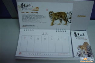 从工位到生活的平衡艺术 办公用品与日常用品的混搭美学